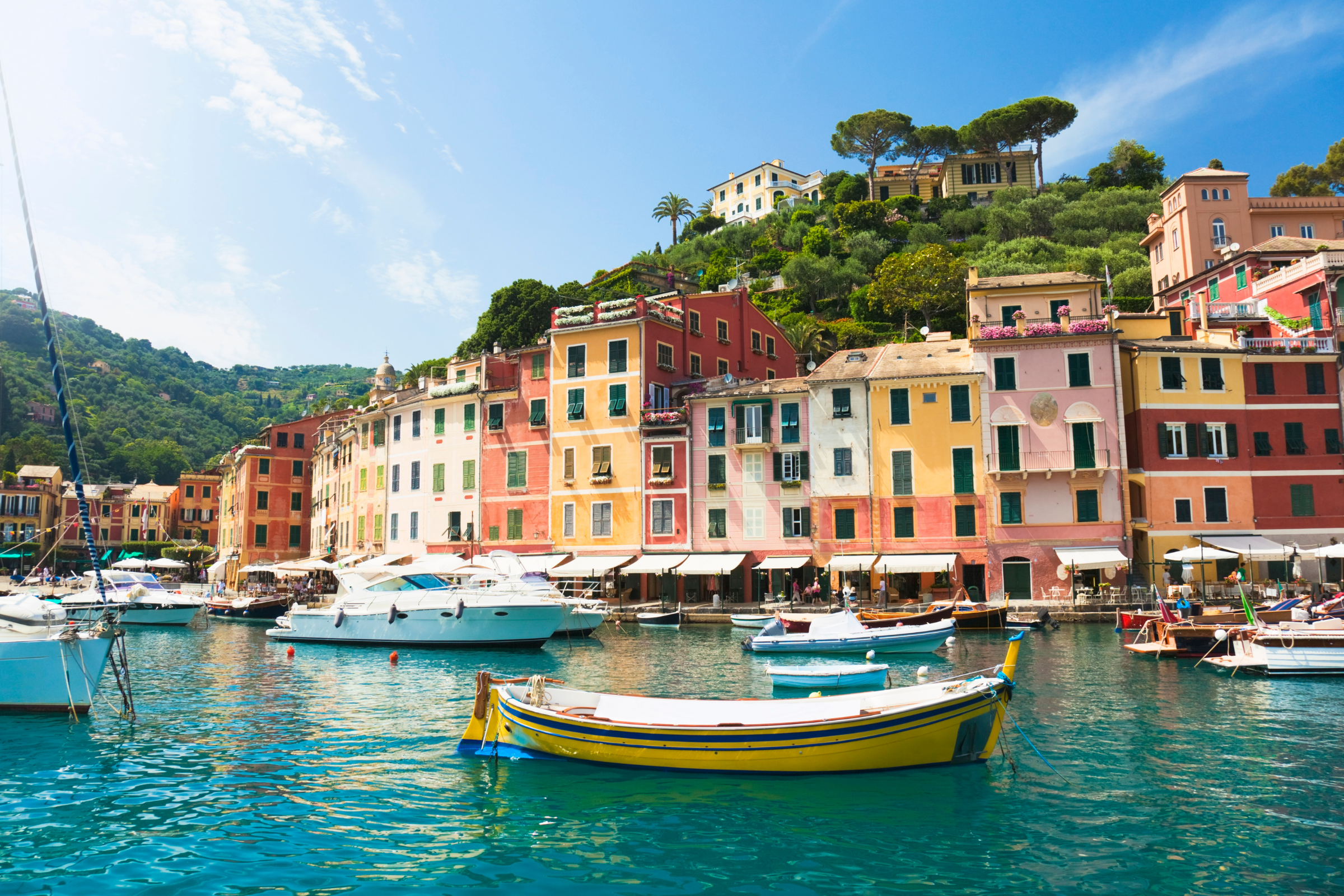 laconi (2).webp